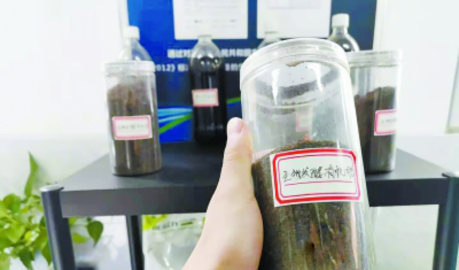 东莞万江坝头社区的分散式厨余垃圾处理中心.png